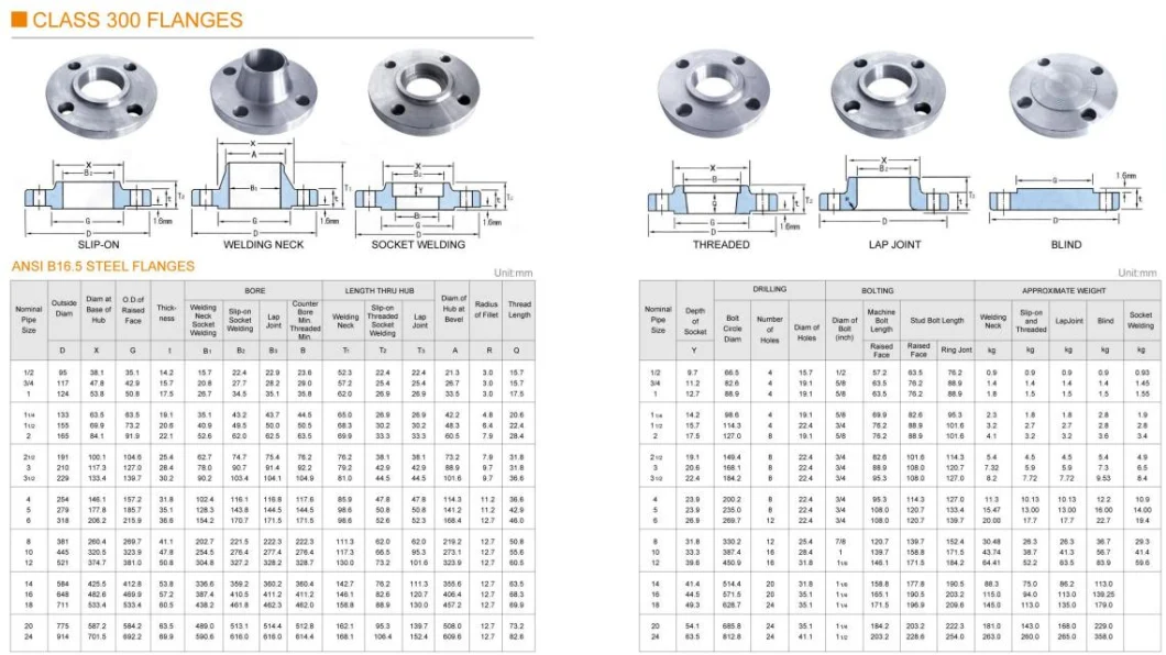 OEM Manufacturers Custom Carbon Steel Titanium Stainless Steel 304 Weld Neck Flange